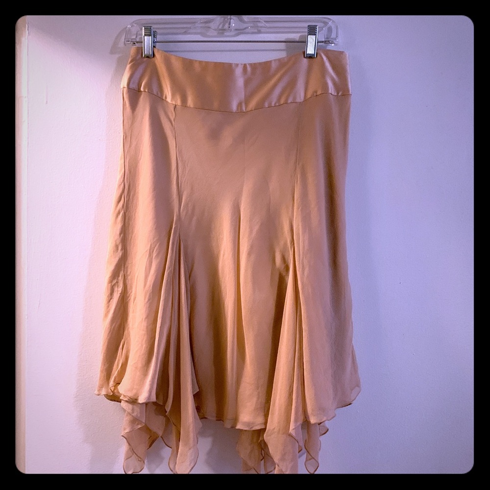Bebe Fairy Skirt